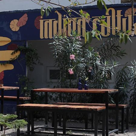 Indian Culture Vandrarhem Rishīkesh Exteriör bild